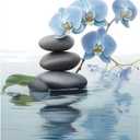 CCWACPP Zen Wall Art Spa Stone and Elegant Blue Orchid Flower on the Water Picture Canvas Prints Artwork Relax Zen Spa Meditation Room Decor (16x24inch)