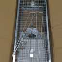 Humane Rat Trap, Large 2-Door Mouse Traps That Work for Indoor Home and Outdoor, Small Rodent Chipmunk Squirrel Trap and Other Live Animal Cage Catch and Release (silver-1pack)