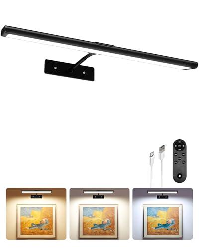 EZVALO Picture Light for Wall, 4800mAh Rechargeable Wireless Remote Battery Lights for Painting, 16In Dimmable Magnetic LED Art Display Light, Colors Temperatures, for Gallery, Living Room,Hallway