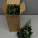 30pcs Faux Olive Leaves Stems 10 Tall Artificial Plants Olive Branches for Small Vase Tabletop Greenery Decor for Home Office Wedding Party (Vase Not Included)