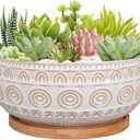 8 Inch Ceramic Succulent Planter Pot with Drainage Hole and Saucer Round Shallow Planter for Indoor Plants, White