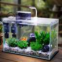 Vimvins 5 Gallon Glass Small Fish Tank with Filter Light and Lid, Betta Aquarium Starter Kits