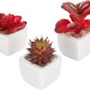 MyGift Assorted Artificial Red Succulent Plants, Mini Fake Desert Plants in White Square Pots, Set of 3