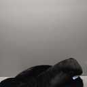 Body Pillow for Adults - Soft Long Bed Pillows Insert for Sleeping - Shredded Memory Foam and Removable Washable Cover - Swan Shaped Pregnancy Side Sleeper Pillow 49 Inch (Beige)