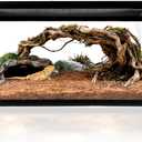 Reptile Glass Tank 20"*12"*10" Pre-Assembled Terrarium for Turtle,Hermit Crab,Bearded Dragon,Gecko,Lizard,Snake,Spider,Fish,Tarantula Enclosure with Top Screen Ventilation and Openning Door