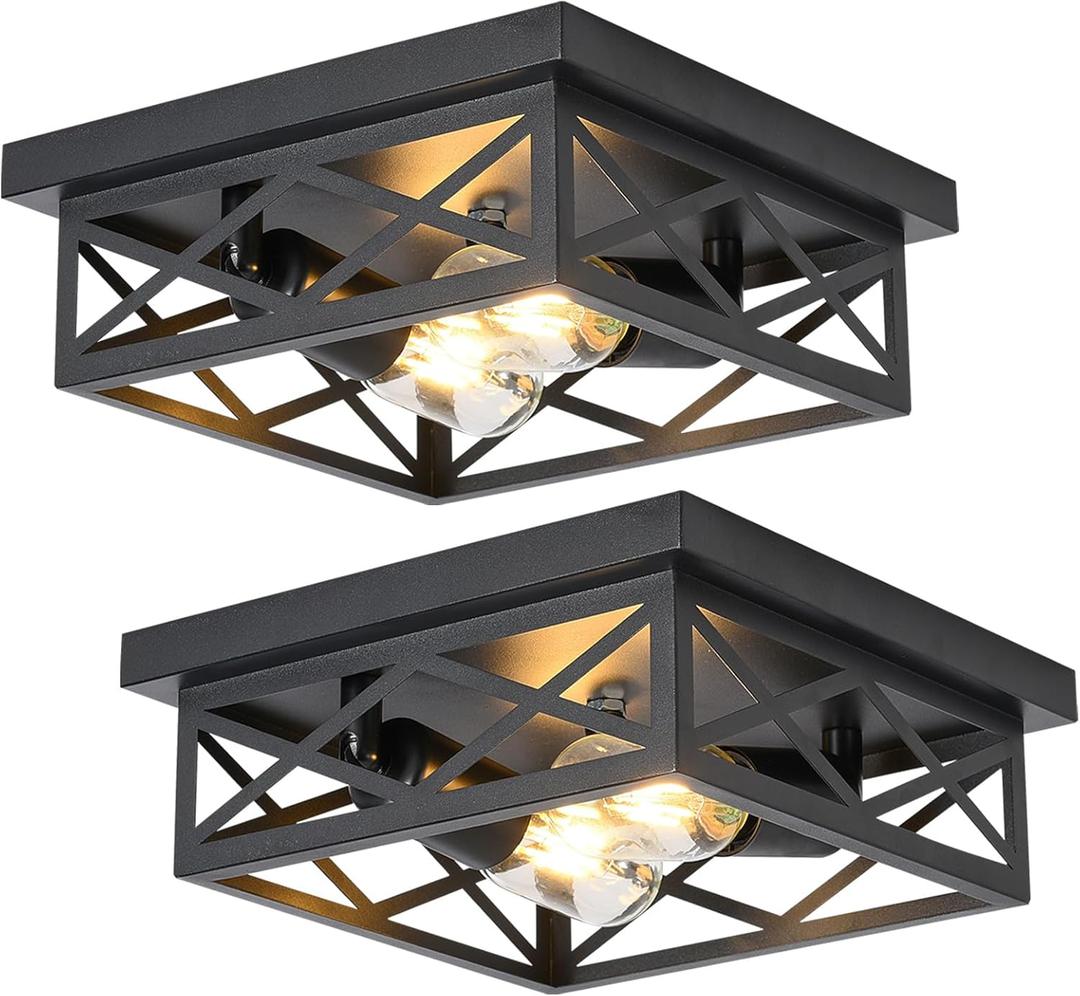 Black Flush Mount Ceiling Light 2 Pack, Cage Industrial Farmhouse Ceiling Light Fix-tures Suitable for Kitchen Entryway Hallway E26 Base (10.0 in)