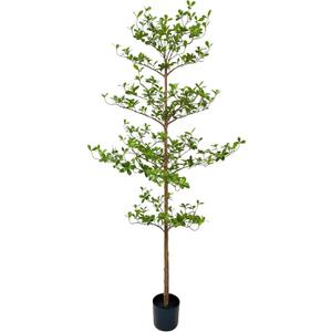 Artificial Black Olive Tree, 7FT Tall Faux Shady Lady Tree with Potted, Fake Olive Tree for Home Decor Indoor (6ft 11in)