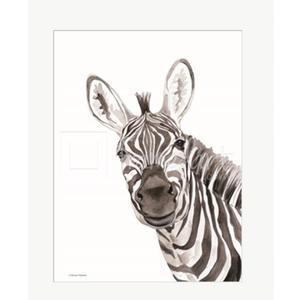 Safari Zebra Peek-a-boo 16"×20"