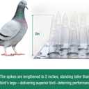 Touri Upgraded 24 Pack Bird Spikes, Covers 34 Feet(10.36m), Clear PVC Bird Deterrent Spikes Strips, Restrict Birds from Standing and Nesting, Keep Birds, Cats, Pigeons, and Other Animals Away