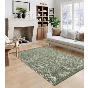 LEEVAN Washable Area Rug 4x6, Hand-Woven Cotton Living Room Rug, Green Braided Bedroom Rug, Farmhouse Indoor/Outdoor Floor Carpet for Patio, Nursery, Office, Playroom, Dining Room