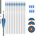31inch Carbon Arrow Archery Targeting Practice Hunting Arrows for Compound & Recurve Bow with Removable Tips(Pack of 12) (Blue White)