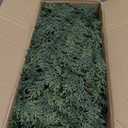 1 Pcs 6 FT Real Touch Cedar Garland, Artificial Realistic Thick Christmas Greenery Faux Cedar Garland for Mantle Table Stairs Wall Outdoor Indoor Christmas Decorations (6 FT, 1 Pcs)