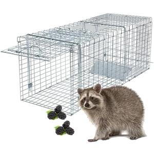 WHJIACHU Heavy-Duty Live Animal Trap Cage, 37" X 13" X 14.5", Large Foldable Humane Live Animal Trap. Great for Catch and Release of Raccoons, Stray Cats, Squirrels, Rabbits, Skunks, Woodchucks