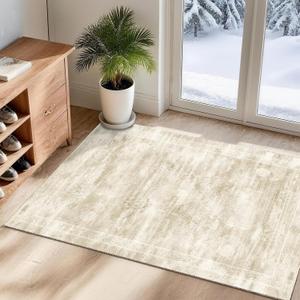 2x3 Small Area Rug for Front Door, Indoor Entrance, Washable Low-Pile Non-Slip Carpet, Durable Rug for Bathroom, Bedroom, Bedside, Kitchen, Beige