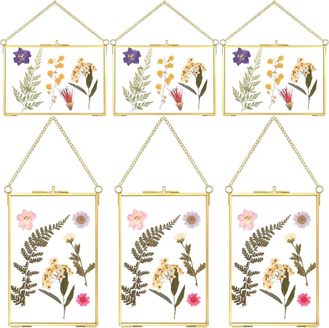 Treela 6 Pcs Pressed Flower Glass Picture Frame Gifts 8 x 10 Inch Christmas Brass Hanging Double Glass Gold Floating Photo Clear Horizontal Vertical with Chain for Gallery Vintage Artwork Display Treela 6 Pcs Pressed Flower Glass Picture Frame Gifts 8 x 10 Inch Christmas Brass Hanging Double Glass Gold Floating Photo Clear Horizontal Vertical with Chain for Gallery Vintage Artwork Display