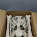 JOYIN 5 FT Halloween Skeleton Life Size, Stayable Posable Skeleton Decor, Full Body Movable Joints Giant Skeletons for Halloween Decoration Outdoor, Haunted House Prop, Spooky Scary Graveyard Party