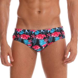 Arcweg Men's Swimming Trunks Briefs Low Waist with Removable Pad Swimwear Elastic Beach Shorts Boxers Underwear (Medium)