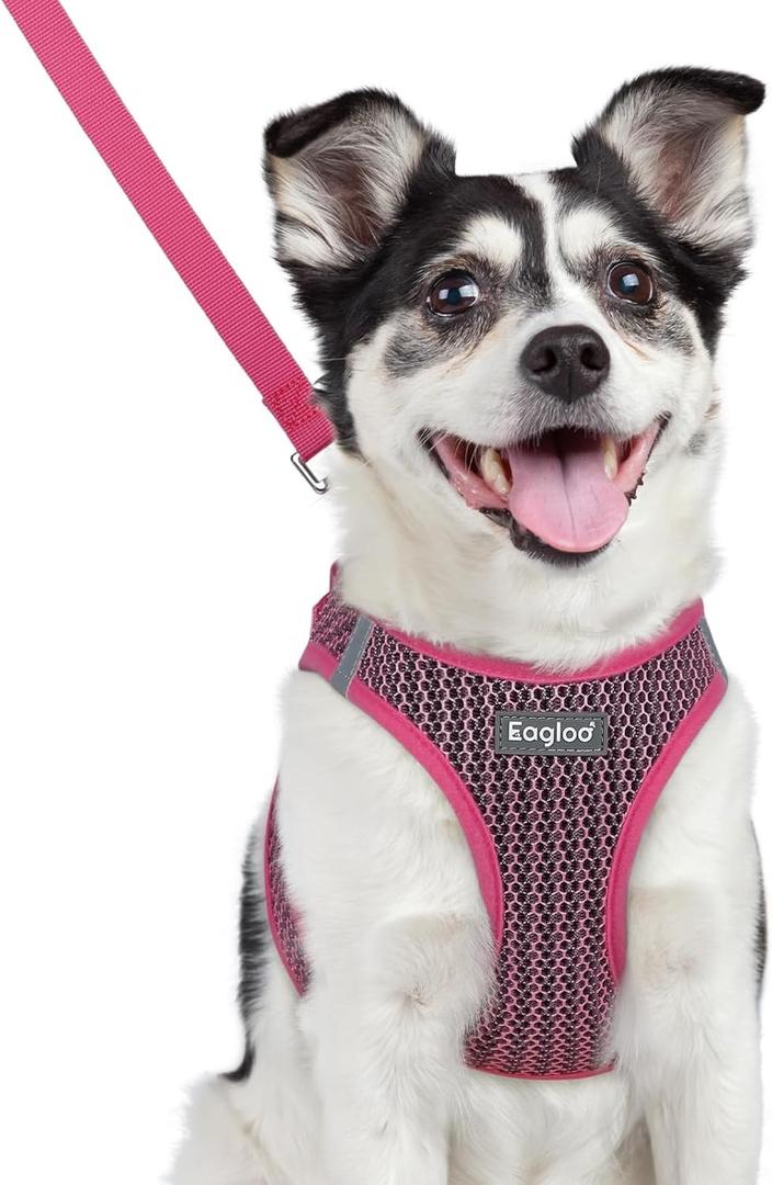 Eagloo Small Dog Harness and Leash Set, Step in Puppy Vest with Breathable Soft Mesh, Walking Reflective Pet Harness for Medium Small Dogs, Rose Red, L (L(Chest:18.2"-20.5"))