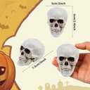 KIMOBER 8PCS Halloween Skull Heads Decor,Plastic Realistic Human Skeleton Skulls Head Prank Props for Party Bar Home Table Decorations (2 x 2.4 x 3 Inches)