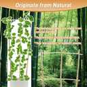 10 Pack 4ft Bamboo Trellis for Climbing Plants - Fan-Shaped Support Trellis for Potted Plant Decor in Door