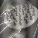 Electric Rotating Massage Dog Shampoo Dispenser with Foam Brush | Rechargeable Pet Bath Tool for Short/Long Hair Grooming & Bathing