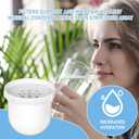 Water Pitcher Replacement Filter Compatible with Clearly Filtered Water Filter Pitcher, 100-Gallon Long-Life, BPA Free, 1 Pack