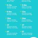 Simple Joys by Carter's Unisex-Baby 2-Pack Holiday Long-Sleeve Tees (3-6 Months, Halloween Pumpkin Print/Skeleton)