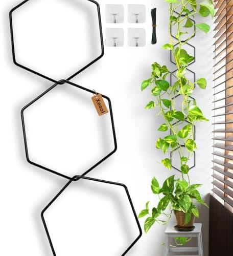 Xeeol 18 Pcs Chain Trellis for Climbing Plants, 7.5(ft) L Wall Plant Trellis Indoor, Pothos Plant Climber Support for Ivy Hoya Flower, Hexagons