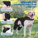 Dog Knee Brace for Torn ACL Hind Leg, Dog Leg Braces for Back Leg Support with 4 Metal Stabilizers Helps with Torn CCL, Luxating Patella, Ligament Injuries, Hip Dysplasia,M