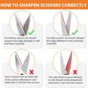 Longzon 6-in-1 Knife Sharpener 5 Stage with Cut-Resistant Glove, Manual Kitchen Tool for Straight & Serrated Knives, Quickly Sharpens Restores & Polishes Dull Blades Safe for Home Kitchen