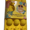 Pineapples Ice Cube Trays (2-Pack) - Silicone - Dishwasher Safe - Evriholder
