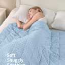 Mr. Sandman Weighted Blanket for Adults Queen Size 15 lbs, Soft Cooling Heavy Minky Blanket for Sleep, Washable Throw Blanket with Glass Beads, 60 x 80 Inches, Light Blue