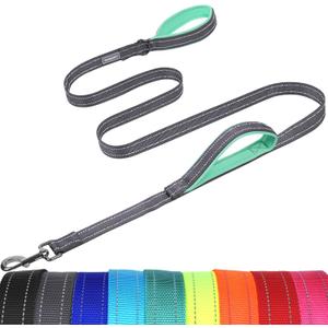 VIVAGLORY Twingrip Dog Leash, Double Handle Dog Leash for Training & Walking with Traffic Handle & 2 Loop, Traffic Control Reflective Heavy Duty for Puppy Pet, 5ft x 1in, Grey