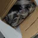 Room Divider, 6 Panel Room Dividers and Folding Privacy Screens, 6FT Partition Room Office Wall Divider for Separation 200" W Fabric, Portable Freestanding Room Divider Wall (Black)