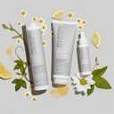 2 x Paul Mitchell Clean Beauty Scalp Therapy Shampoo, Gently Cleanses + Refreshes All Hair Types, Especially Dry, Oily + Sensitive Scalps (8.5 Fl Oz (Pack of 1))