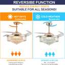 52'' Crystal Gold Ceiling Fan with Light and Remote