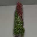 36 Pcs Red Green Christmas Tree Picks and Sprays Ornaments 17'' 12'' Artificial Flower Glitter Christmas Flower Berry Stem Stick Branches Filler Topper for Xmas Wreath Vase