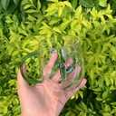 Youngky Store 3D Crystal Glass Animal Plant Wishing Coffee Cup - Milk Chocolate Cappuccino, Party Office Morning Cup for Home Office Decoration (Cactus)