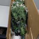5 FT Artificial Christmas Tree Hinged w/ 200 Warm LED Lights & 126 Red Berries