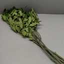 6 Pcs 6pcs Faux Stems and Branches for Vase 31.5inch Fake Plants Artificial Greenery Stems Faux Branches for Home Vase Wedding Garden Farmhouse Table Mantel Decor