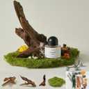 14PCS Product Photography PropsNatural Sunken Wood Photography Props with Imitation Moss Dried Flowers- Small Items Photo Props for Jewelry Cosmetics Perfume