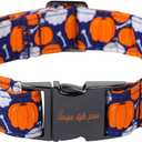 Unique style paws Dog Collar Metal Buckle Collar for Autumn Winter Christmas for Small Medium Large Boys Girls Dogs (Bone pumpkin)