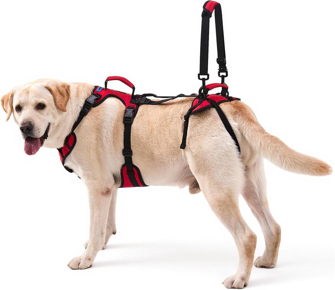 Dog Lift Harness for Extra Large Dogs, Heavy Dog Lifting Support Harness with Dual Handles, Strong Mobility Aid for Arthritis & Injury Recovery, Red, XL