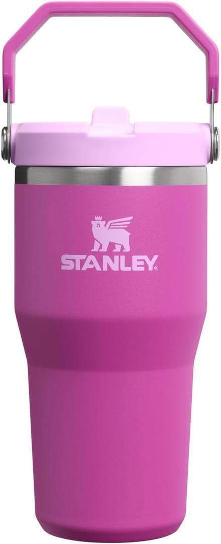 STANLEY IceFlow 2.0 Flip Straw Tumbler with Handle 20 oz | Twist On Lid and Flip Up Straw | Leakproof Water Bottle | Insulated Stainless Steel | BPA-Free | Dark Blossom