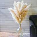 10 Stems 46" inch Dried Pampas Grass Decor Tall, Large Pompas Grass, Boho Neutral Home Decor Bouquet, Fluffy Pampass Grass for Floor Vase Wedding Floral Arrangements Wall Farmhouse Table Decor