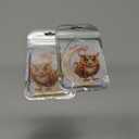 2 x Christmas Tree Decorations, Acrylic Christmas Tree Ornaments, Double-Printed Animal Hanging for Christmas Tree, Home Decor, Children's Gifts (Owl) (Moon-owl 2)