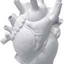 Gothic Decor Resin Flower Vase Resin Anatomical Heart Vase Human Heart Shaped Vase Statue Decor,for Desktop Decorations Craft Home Decor Creative Gifts,White