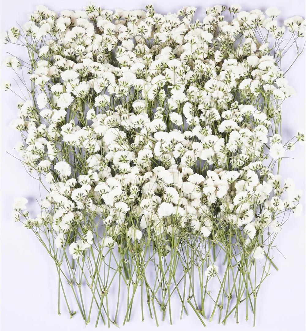 100Pcs White Babys Breath Dried Pressed Flowers for Crafts,Xinxinran Dry Flower Kit for Wedding Invitation Accessories,Bookmark,Jewelry Molds,Candle Making Supplies, Soap, Frame, Cakes