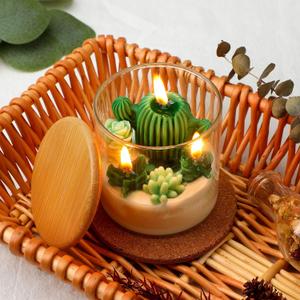 Tondiamo Succulent Cactus Candles Gift,3.15 Inch Scented Decorative Terrarium Plant Candles Votive for House Warming Wedding Baby Shower Spa Home Decoration Teacher Appreciation Mothers Gifts (Green)