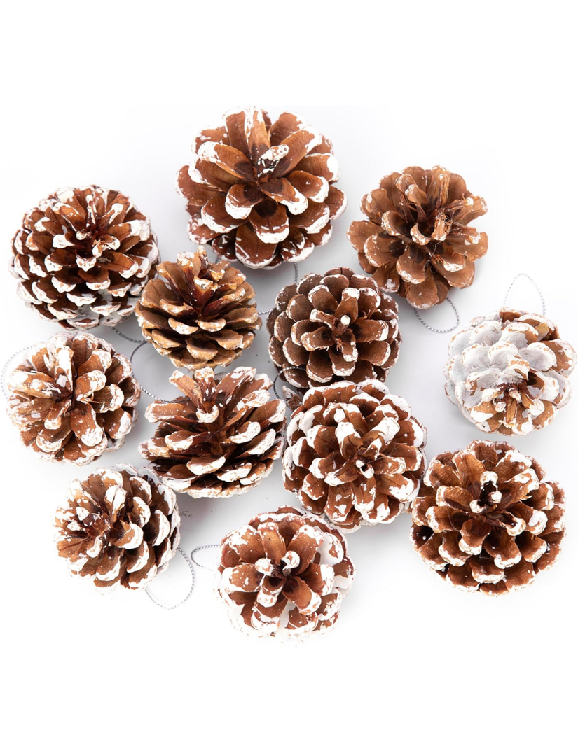 27 Pcs Big Size Snow Natural Pine Cones with Strings, 2“-3.5“ Rustic Pinecones Bulk Christmas Hanging Ornaments for Xmas Tree Decoration, DIY Crafts, Holiday, Wedding, Party
